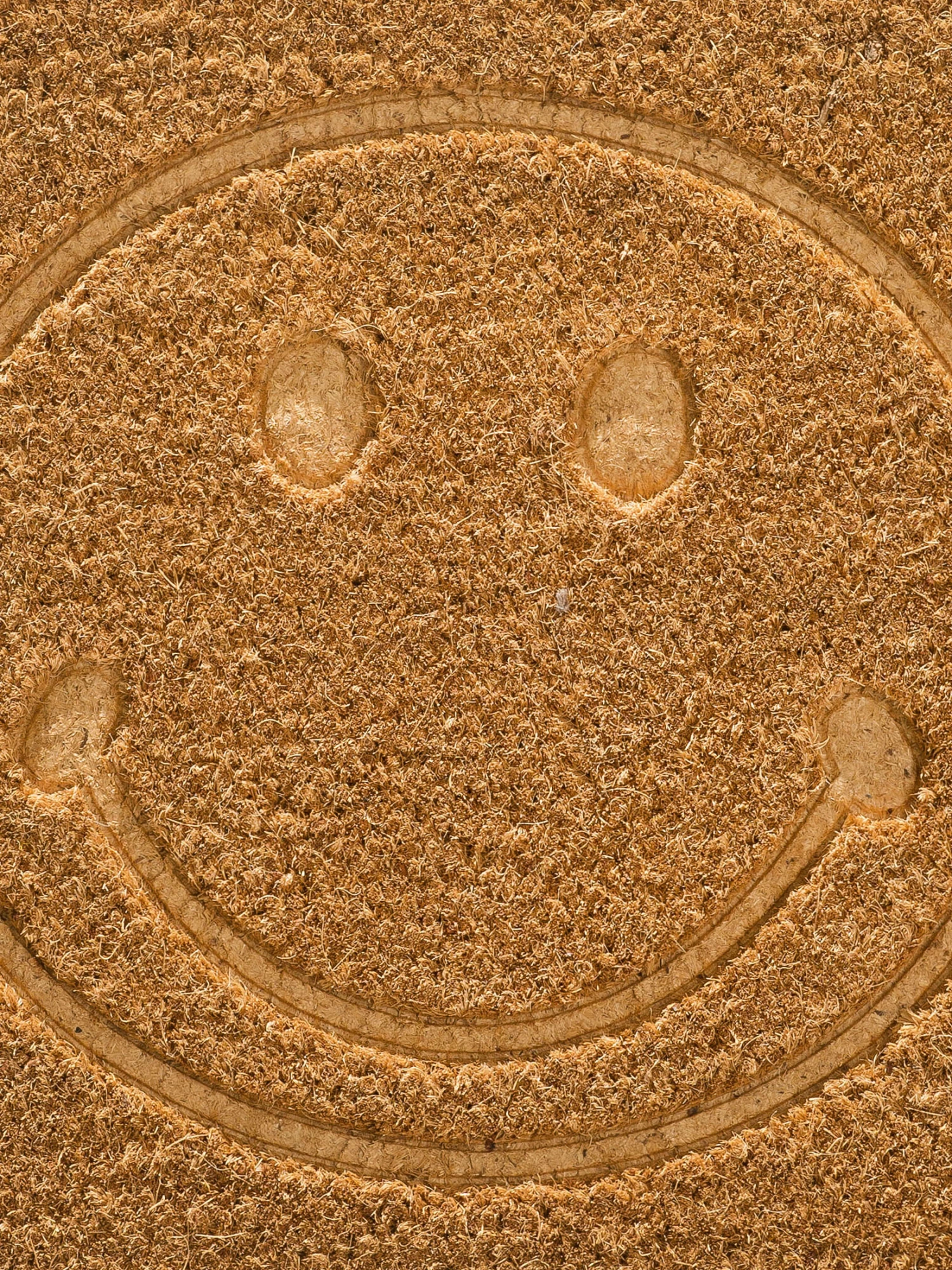 Fußmatte, Beige – Bild 4