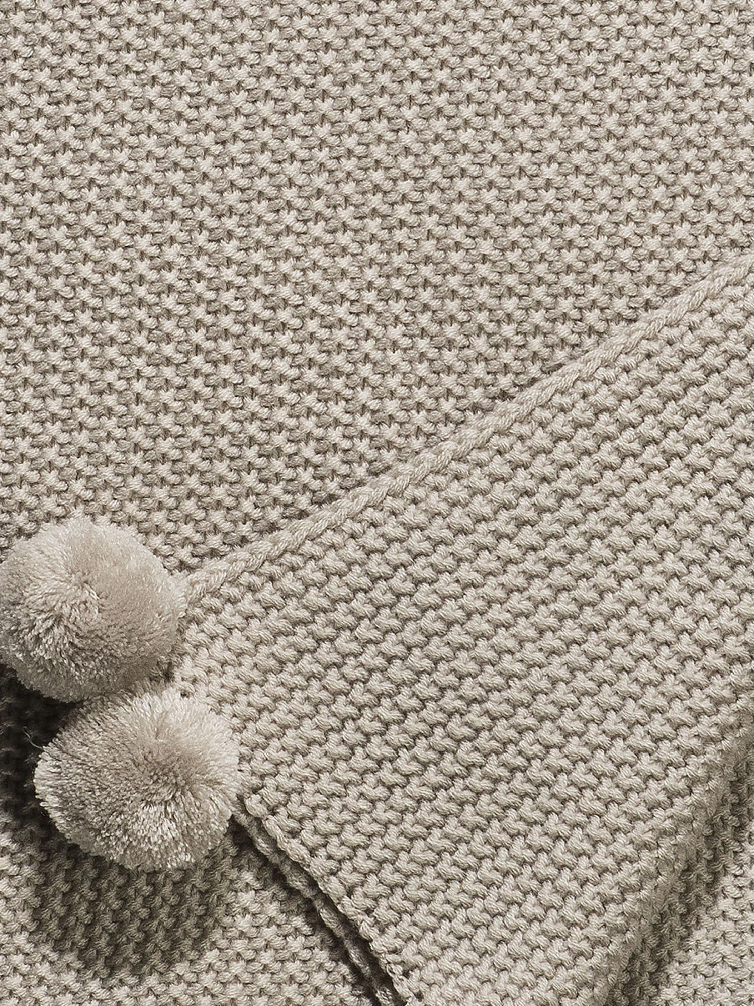 Decke, Antarctica – Bild 3